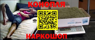 гашик Брянск