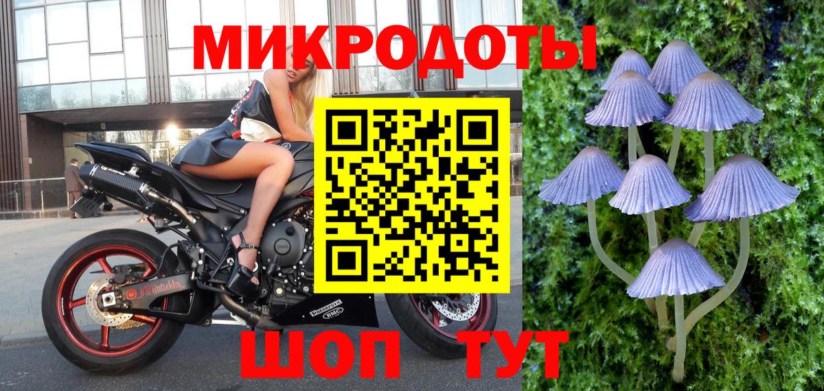 Псилоцибиновые грибы прущие грибы Тамбов