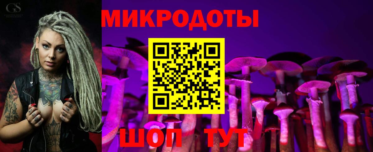Псилоцибиновые грибы MAGIC MUSHROOMS  цены   Тамбов  Вход с VPN  Псилоцибиновые грибы мухоморы 