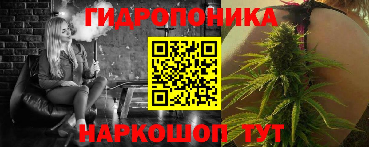 Бошки Шишки VHQ  Вход с VPN  Тамбов  Бошки марихуана THC 21%  МАРИХУАНА Ganja  Каннабис Ganja 